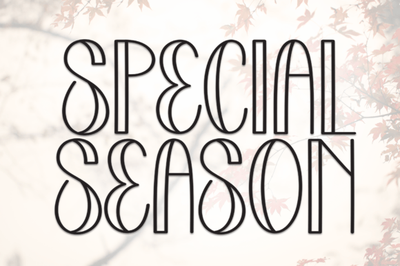 Why the Special Season Font Feels Like a Warm, Playful Design Partner